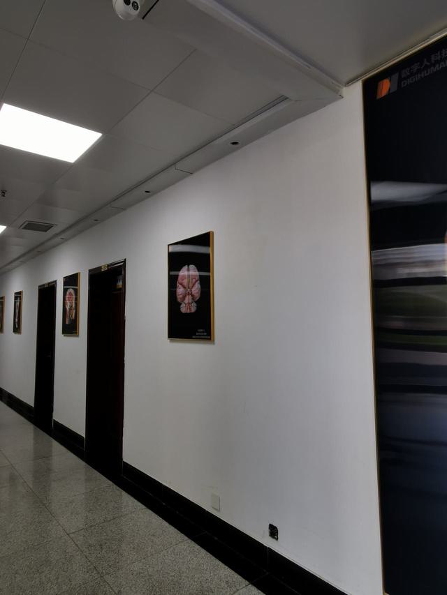IMG_20230426_121129.jpg