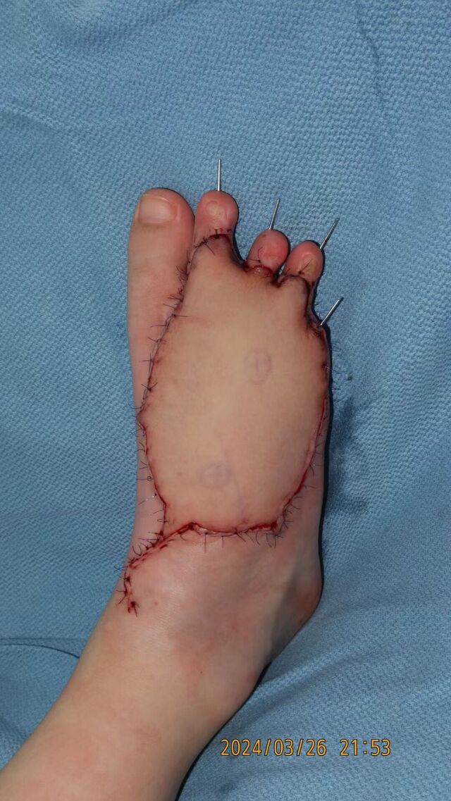 mmexport1711580748819.jpg