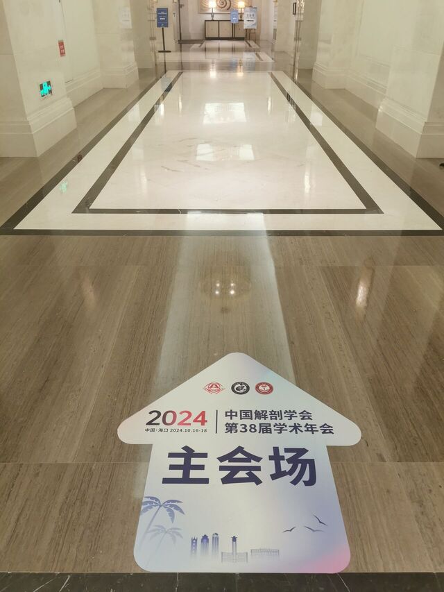 IMG_20241017_110343.jpg