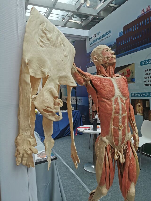 IMG_20241017_112136.jpg