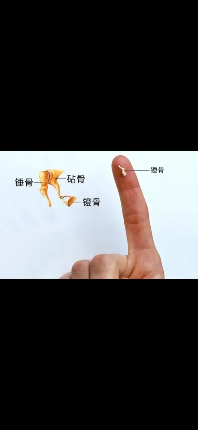 Screenshot_20241021_081130_com.baidu.searchbox.jpg