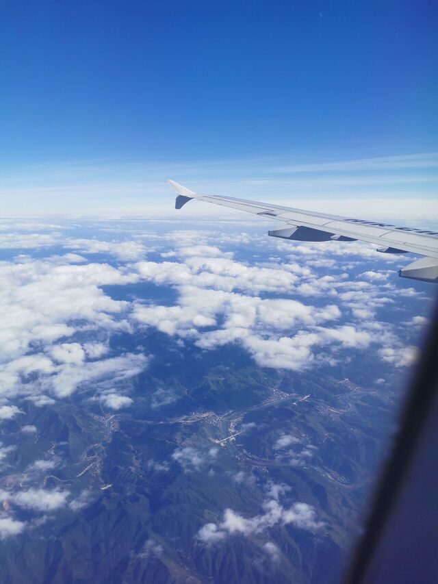 IMG_20241108_140414.jpg