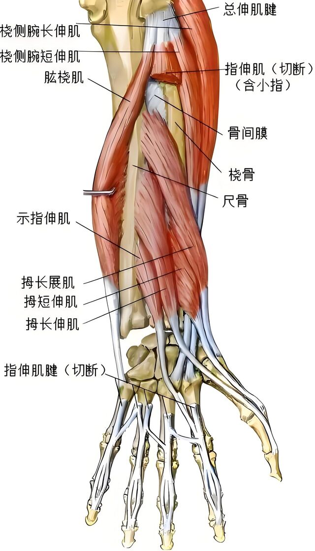 deb3b67391223efd.jpg
