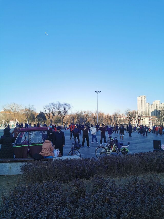 IMG_20260217_155730.jpg