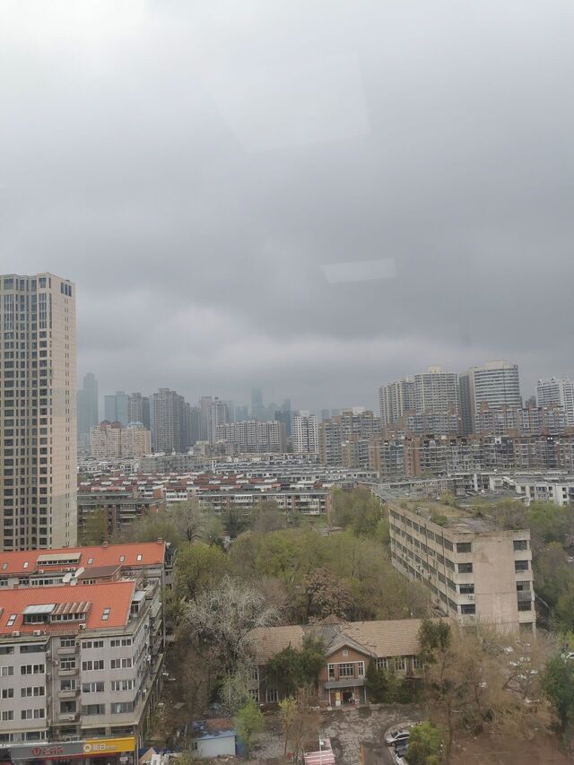 IMG_20260409_135249.jpg