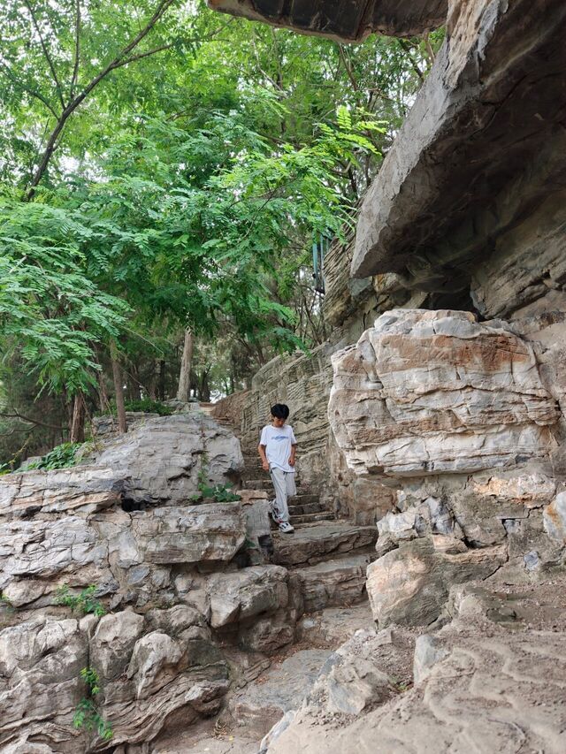 IMG20260619112140.jpg