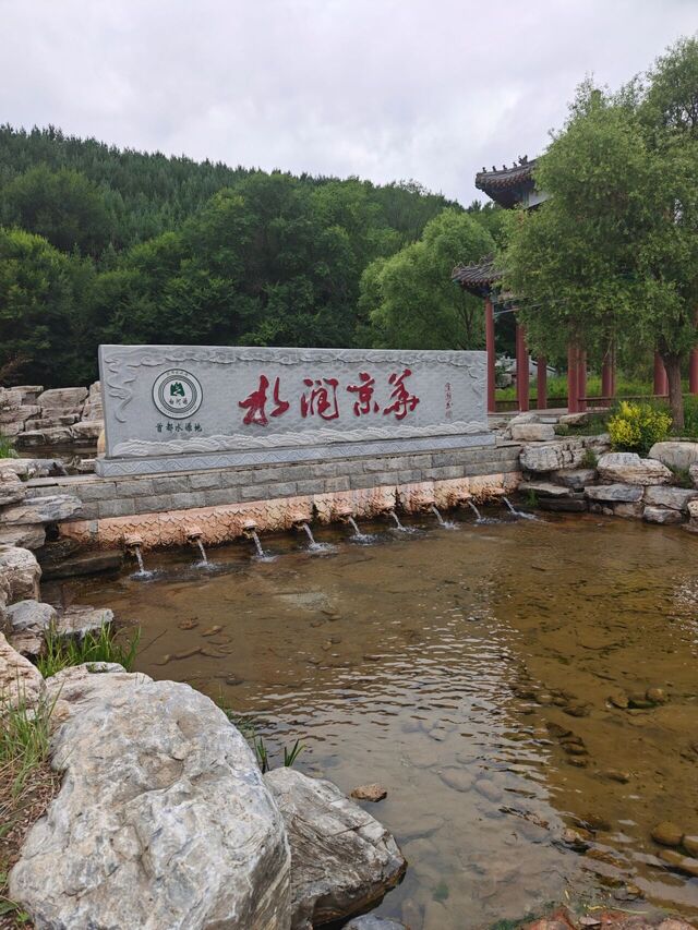IMG20260718121512.jpg