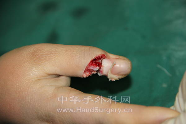 IMG_1979_调整大小.JPG