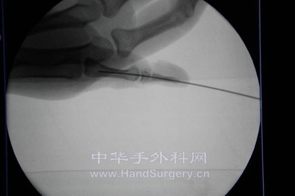 IMG_2017_调整大小.JPG