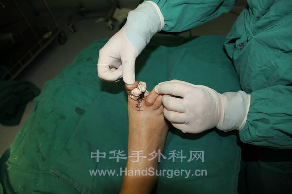 IMG_2208_调整大小.JPG